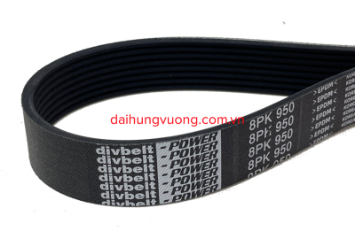 Dây curoa 8pk 950 hiệu divbelt